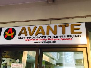 Avante-office-sgn