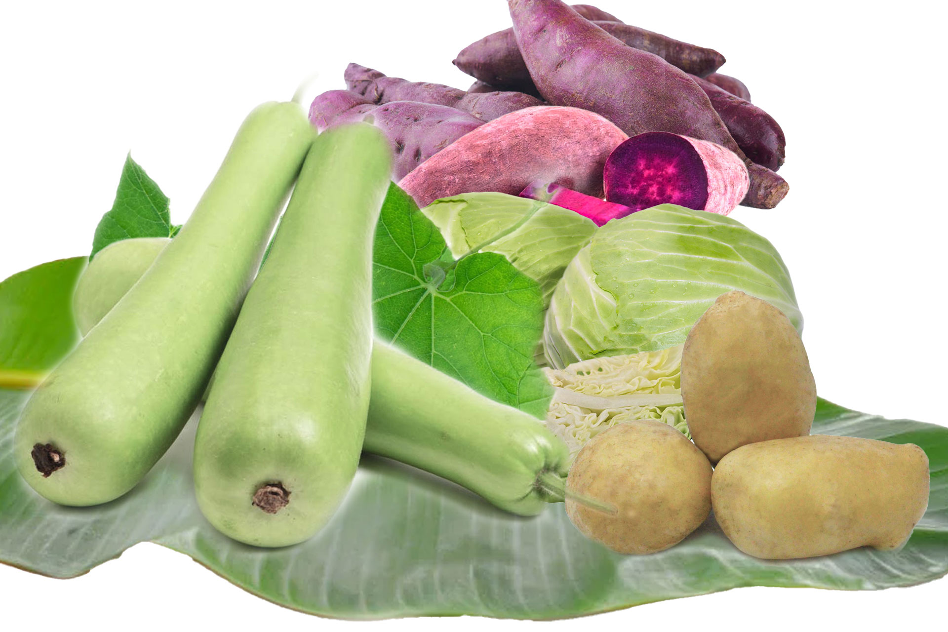 Vegetables
